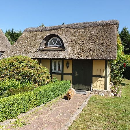 Zara'S B&B Хорсенс Экстерьер фото