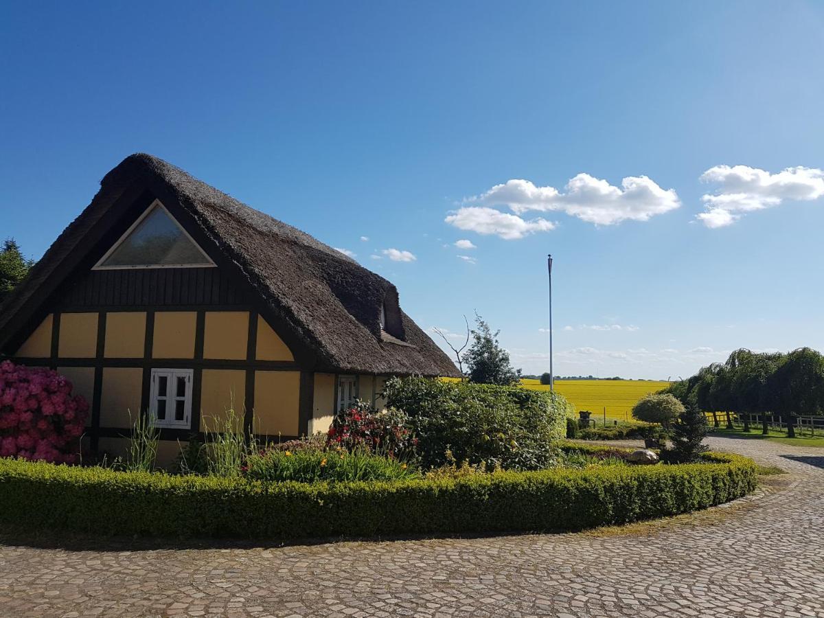 Zara'S B&B Хорсенс Экстерьер фото